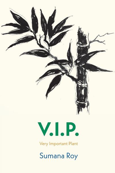 Produktbild: V.I.P. Very Important Plant