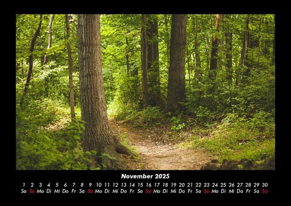 Produktbild: Waldzauber 2025 Fotokalender DIN A3