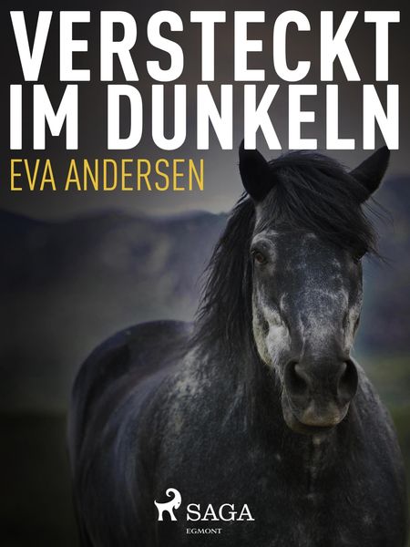 Produktbild: Versteckt im Dunkeln