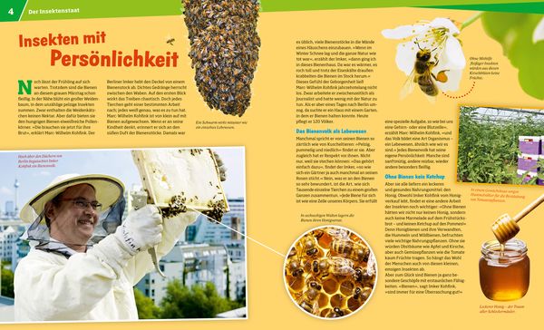 WAS IST WAS Band 19 Bienen und Wespen. Flüssiges Gold und spitzer Stachel