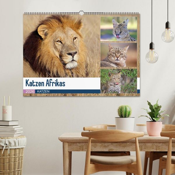 Produktbild: Katzen Afrikas (Wandkalender 2026 DIN A2 quer), CALVENDO Monatskalender