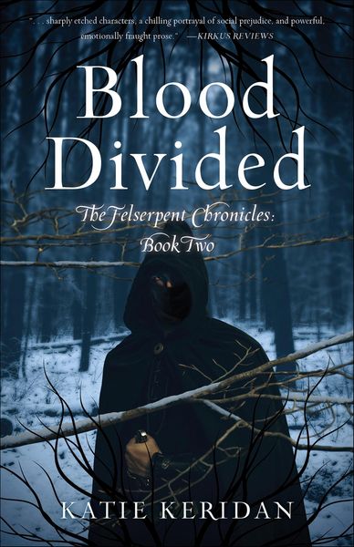 Produktbild: Blood Divided