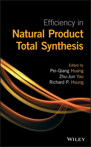 Produktbild: Efficiency in Natural Product Total Synthesis