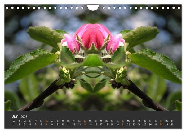 Produktbild: Spiegelwelten - Im Reich der Naturwesen (Wandkalender 2026 DIN A4 quer), CALVENDO Monatskalender