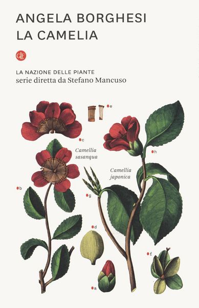 Produktbild: La camelia. La nazione delle piante