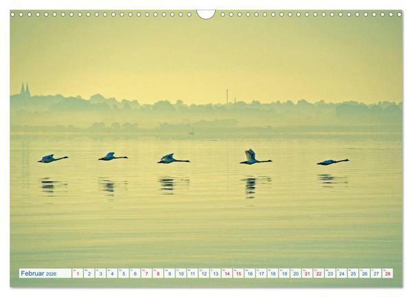 Produktbild: Flensburg Fjord (Wandkalender 2026 DIN A3 quer), CALVENDO Monatskalender