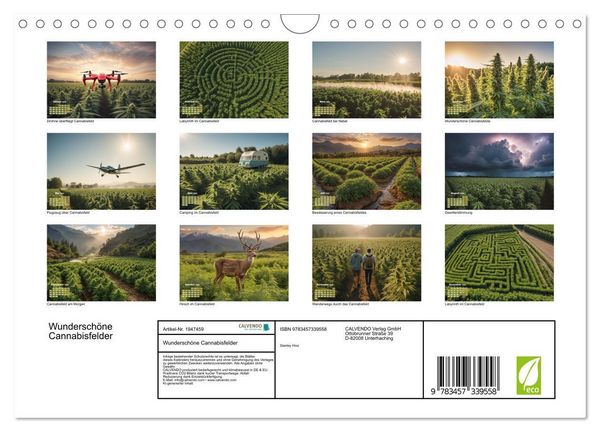 Produktbild: Wundersch&ouml;ne Cannabisfelder (Wandkalender 2026 DIN A4 quer), CALVENDO Monatskalender