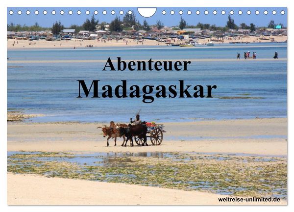 Produktbild: Abenteuer Madagaskar (Wandkalender 2026 DIN A4 quer), CALVENDO Monatskalender