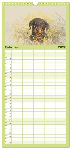 Produktbild: Familienplaner 2026 - Hundewelpen 2026 mit 5 Spalten (Wandkalender, 21 x 45 cm) CALVENDO