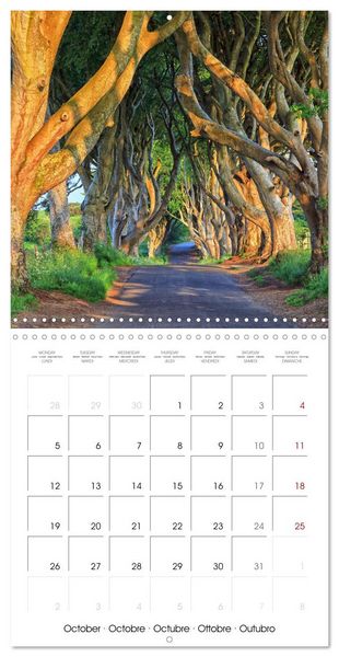 Produktbild: Northern Ireland and Belfast (Wall Calendar 2026 12 &times; 12 Inch) CALVENDO 12 Month Wall Calendar