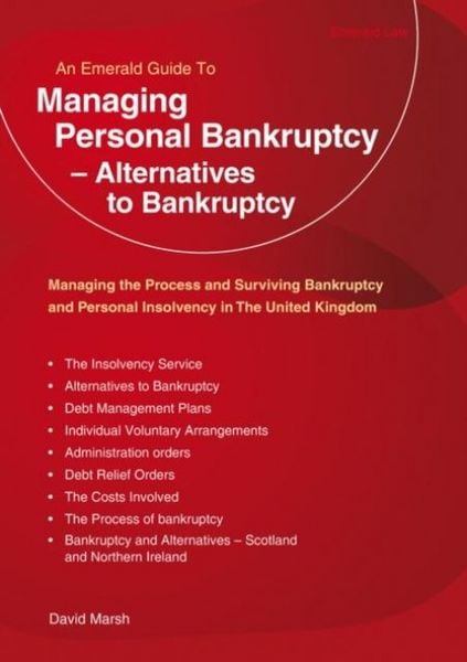 Produktbild: Managing Personal Bankruptcy - Alternatives to Bankruptcy