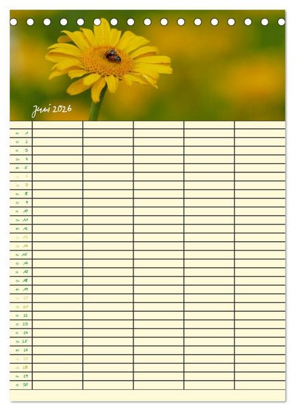 Produktbild: Kleine Natursch&ouml;nheiten (Tischkalender 2026 DIN A5 hoch), CALVENDO Monatskalender