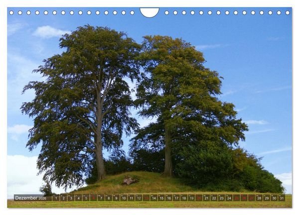 Produktbild: Naturpark Holsteinische Schweiz (Wandkalender 2026 DIN A4 quer), CALVENDO Monatskalender