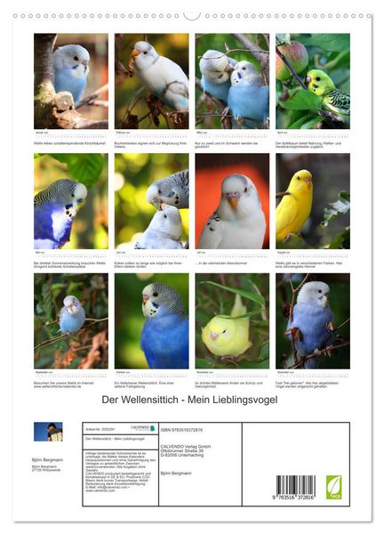 Produktbild: Der Wellensittich - Mein Lieblingsvogel (Wandkalender 2026 DIN A2 hoch), CALVENDO Monatskalender