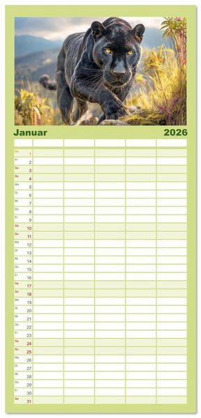 Produktbild: Familienplaner 2026 - Schwarze Panther. Geheimnisvolle Schatten der Wildnis mit 5 Spalten (Wandkalender, 21 x 45 cm) CALVENDO