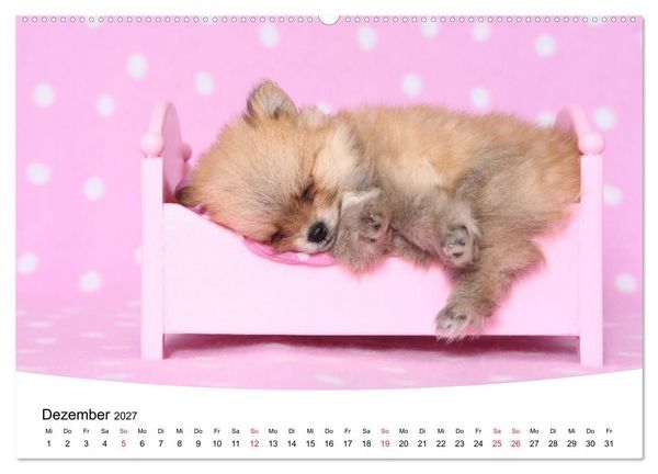 Produktbild: S&uuml;&szlig;e Tr&auml;ume 2027 - schlafende Hundewelpen (hochwertiger Premium Wandkalender 2027 DIN A2 quer), Kunstdruck in Hochglanz