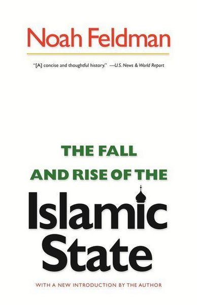 Produktbild: Fall and Rise of the Islamic State