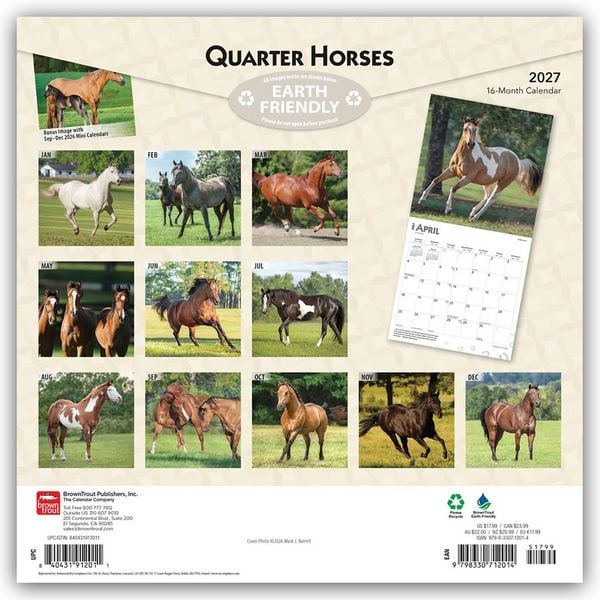 Produktbild: Quarter Horses &ndash; Quarter Horse 2027 &ndash; 16-Monatskalender