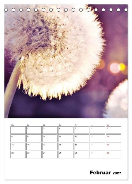 Produktbild: Pusteblumentraum - Dreams of Dandelion (Tischkalender 2027 DIN A5 hoch), CALVENDO Monatskalender