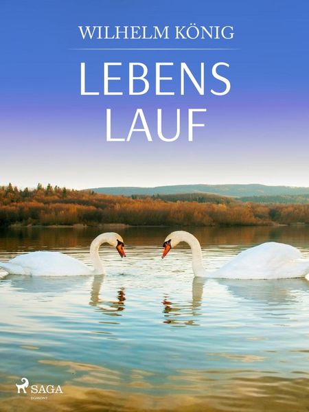 Produktbild: Lebens lauf