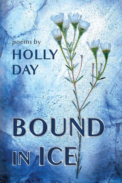 Produktbild: Bound in Ice