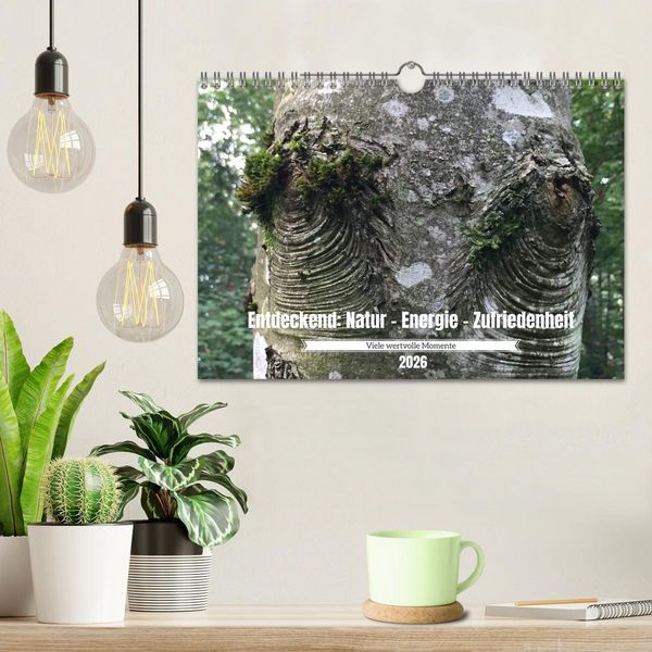 Produktbild: Entdeckend: Natur - Energie - Zufriedenheit (Wandkalender 2026 DIN A4 quer), CALVENDO Monatskalender
