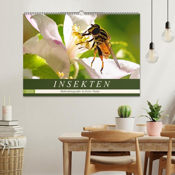 Produktbild: INSEKTEN - Makrofotografie in freier Natur (Wandkalender 2026 DIN A2 quer), CALVENDO Monatskalender