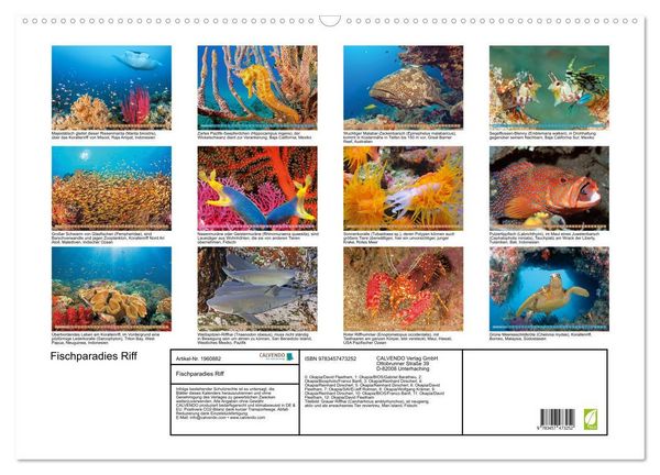 Produktbild: Fischparadies Riff (Wandkalender 2026 DIN A2 quer), CALVENDO Monatskalender