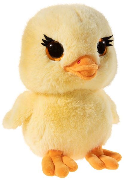 ENTE Gaagi
