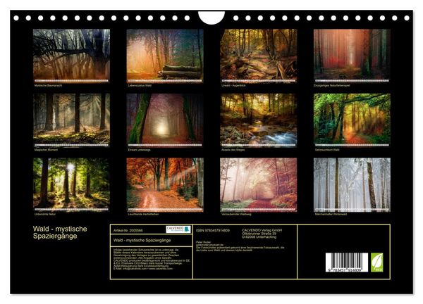 Produktbild: Wald - mystische Spazierg&auml;nge (Wandkalender 2026 DIN A4 quer), CALVENDO Monatskalender