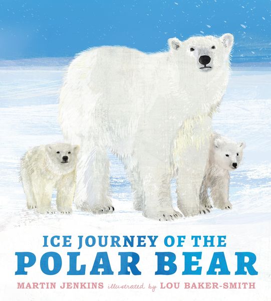 Produktbild: Ice Journey of the Polar Bear