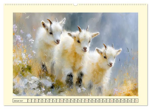 Produktbild: Zwergziegen. Kleine Wirbelwinde im Sonnenschein (hochwertiger Premium Wandkalender 2027 DIN A2 quer), Kunstdruck in Hochglanz
