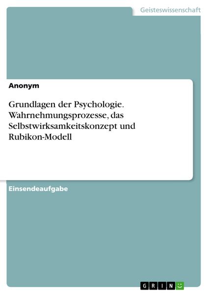 Produktbild: Grundlagen der Psychologie. Wahrnehmungsprozesse, das Selbstwirksamkeitskonzept und Rubikon-Modell