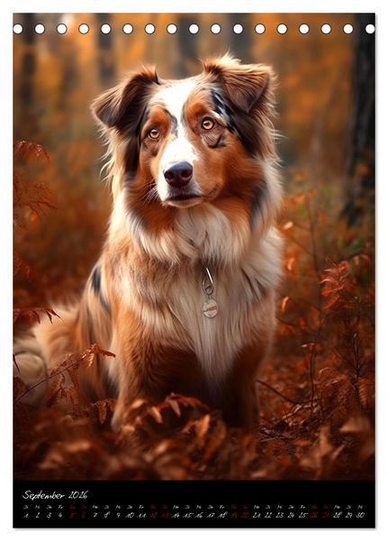 Produktbild: Australian Shepherd (Tischkalender 2026 DIN A5 hoch), CALVENDO Monatskalender