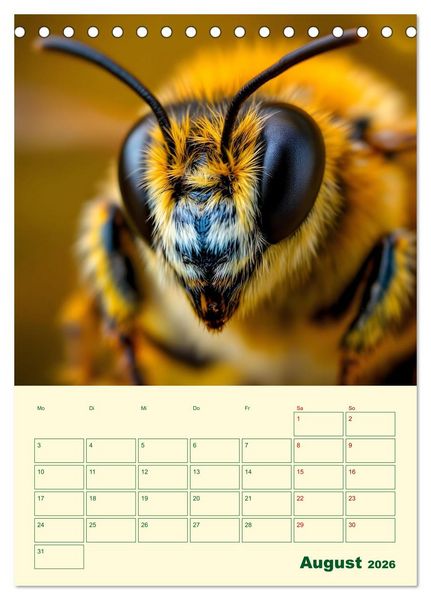 Produktbild: Bienenblick &ndash; Ein Jahr mit den Bienen (Tischkalender 2026 DIN A5 hoch), CALVENDO Monatskalender