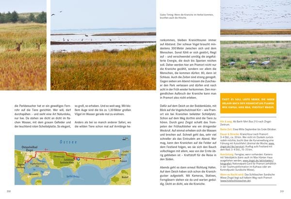 Produktbild: 52 kleine & gro&szlig;e Eskapaden in Mecklenburg-Vorpommern an der Ostsee