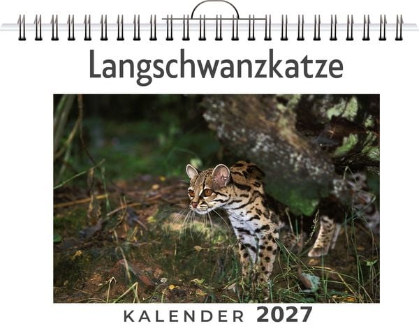 Produktbild: Langschwanzkatze