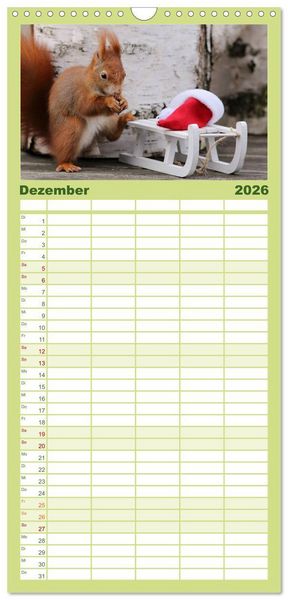 Produktbild: Familienplaner 2026 - Eichh&ouml;rnchen Momentaufnahmen f&uuml;rs Herz mit 5 Spalten (Wandkalender, 21 x 45 cm) CALVENDO