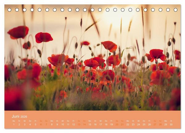 Produktbild: Zeitenwandel - Ein Jahr in der Natur (Tischkalender 2026 DIN A5 quer), CALVENDO Monatskalender