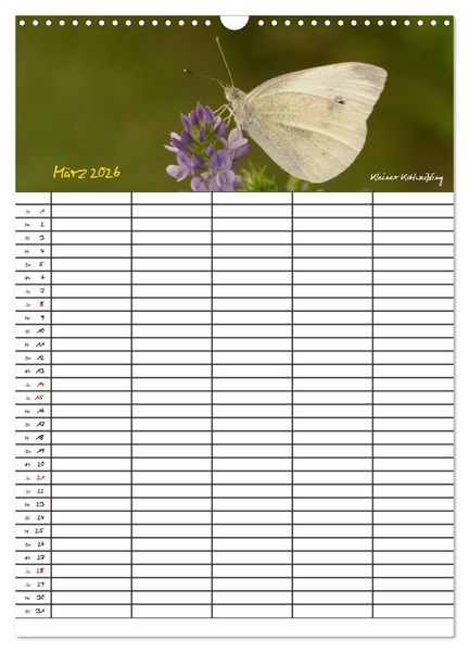 Produktbild: Schmetterlinge in Bayern (Wandkalender 2026 DIN A3 hoch), CALVENDO Monatskalender