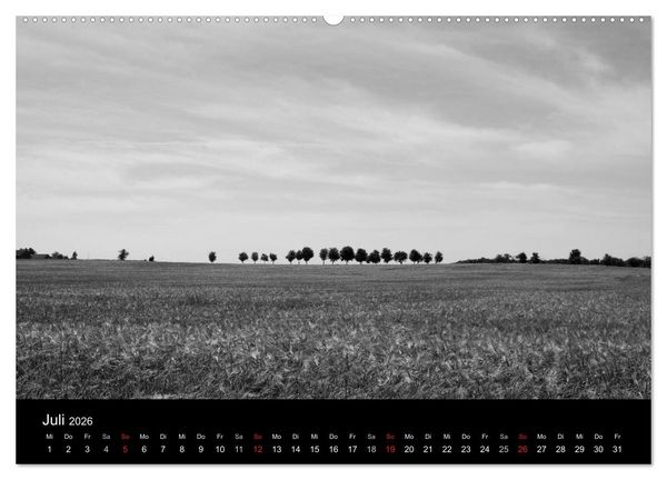 Produktbild: B&auml;ume trees 2026 (Wandkalender 2026 DIN A2 quer), CALVENDO Monatskalender