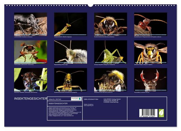 Produktbild: INSEKTENGESICHTER (hochwertiger Premium Wandkalender 2027 DIN A2 quer), Kunstdruck in Hochglanz
