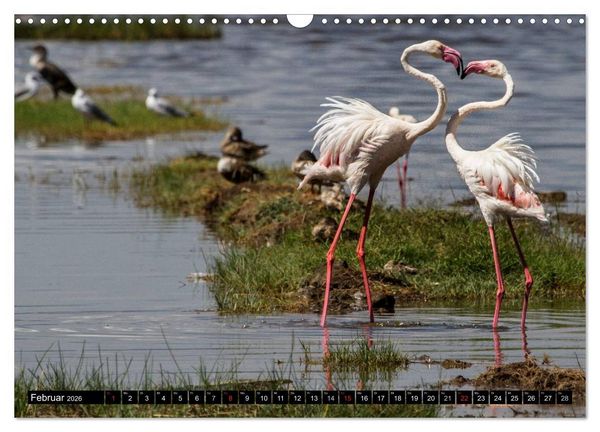 Produktbild: Wildes Leben in Afrika (Wandkalender 2026 DIN A3 quer), CALVENDO Monatskalender