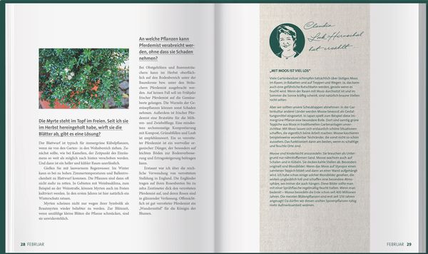 Mdr Garten Das grüne Telefon von Claudia LookHirnschal Buch Thalia