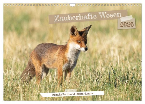 Produktbild: Zauberhafte Wesen - Reineke Fuchs und Meister Lampe (Wandkalender 2026 DIN A3 quer), CALVENDO Monatskalender