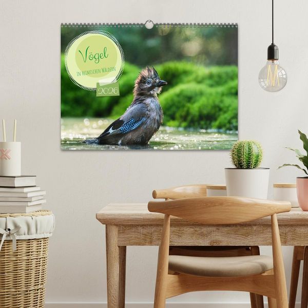 Produktbild: V&ouml;gel in heimischen W&auml;ldern (Wandkalender 2026 DIN A3 quer), CALVENDO Monatskalender