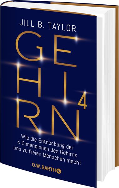 Produktbild: Gehirn^4