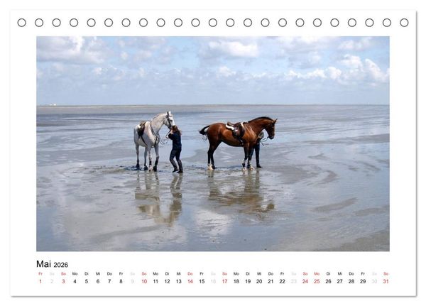Produktbild: Die sch&ouml;ne Insel Neuwerk (Tischkalender 2026 DIN A5 quer), CALVENDO Monatskalender