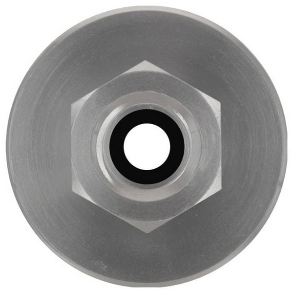 Produktbild: Bosch Fettpresseadapter PRO GFP 18V-10 500g Schraubkartusche