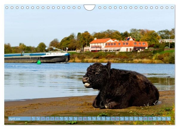 Produktbild: LOVELY VENLO (Wall Calendar 2026 DIN A4 landscape), CALVENDO 12 Month Wall Calendar
